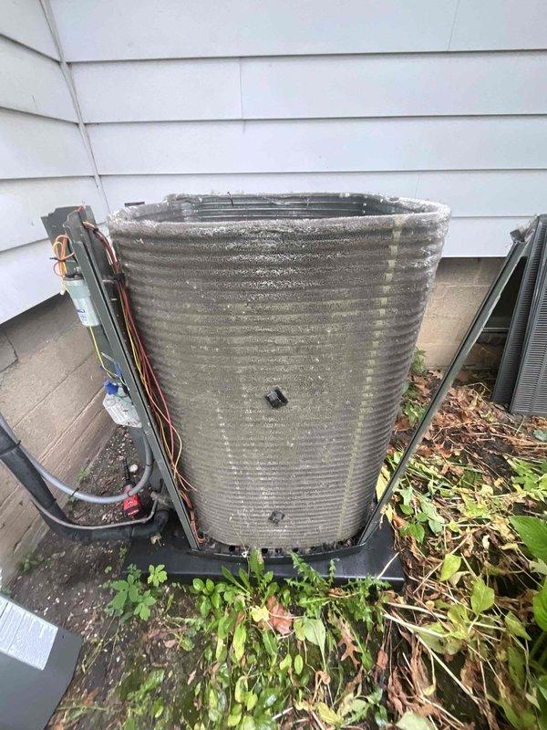 Completed comprehensive BFMA tune-up service on 4+ year old HVAC system including AC unit and two water heaters. Performed thorough cleaning of outdoor condenser coil which had significant dirt and grime accumulation, removed substantial organic debris including leaves, twigs, and vegetation from around unit base and components. Cleaned blower wheel assembly which showed heavy dust buildup in center hub and on blades, inspected all electrical connections and refrigerant lines for proper operation, and verified system performance upon completion.