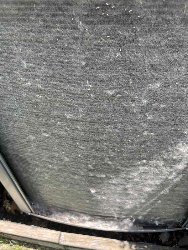 Completed comprehensive BFMA tune-up service on 9-year-old air conditioning system during morning appointment. Performed full system inspection, replaced air filter with new pleated media filter, and evaluated all accessible components. Identified significant deterioration and possible mold growth on flexible ductwork covering requiring attention, documented conditions with photographic evidence for customer review and future maintenance planning.