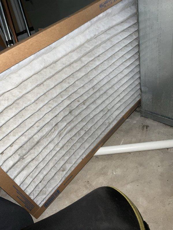 Completed comprehensive BFMA air conditioning tune-up service on residential split system. Inspected and documented outdoor condenser unit showing moderate accumulation of debris and organic growth on coil fins; evaluated indoor air filter which exhibited significant dust loading and particulate buildup requiring attention. Performed standard preventative maintenance procedures including system operational checks, refrigerant line inspection, and electrical connection verification to ensure optimal cooling performance for the upcoming season.