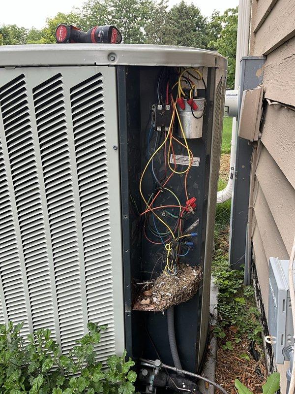 Responded to callback for air conditioning unit experiencing short cycling, excessive noise, and inability to cool. Upon inspection, discovered extensive accumulation of grass clippings, leaves, and organic debris inside the unit's electrical compartment, along with heavily corroded contactor and deteriorated electrical connections. Removed all debris from interior compartment, cleaned affected areas, and assessed electrical components. Found significant corrosion on contactor relay and oxidized terminal connections indicating moisture intrusion and age-related deterioration. Documented conditions with photos and discussed system condition with customer, including recommendation for replacement options given the extent of component deterioration and repeated service issues.