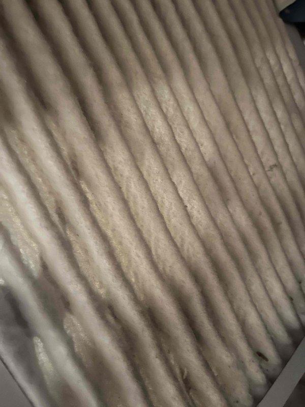 Completed comprehensive BFMA tune-up on 6+ year old residential air conditioning system. Performed standard maintenance procedures including inspection of outdoor condenser unit, verification of proper operation, and replacement of dirty air filter which showed significant dust and debris accumulation. Unit operating within normal parameters upon completion of service.