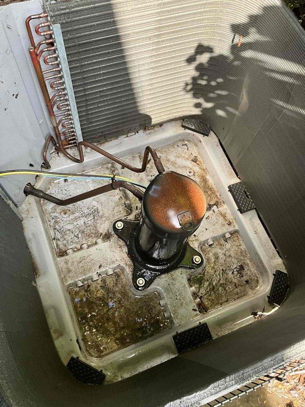 Completed comprehensive BFMA tune-up service on a 9+ year old air conditioning system during afternoon appointment window. Performed full system inspection including blower wheel assembly and condensing unit evaluation, noting moderate dust accumulation on blower components and debris buildup in condensate drain pan with standing water present. Inspected compressor, refrigerant lines, heat exchanger coils, and all mechanical components to ensure proper operation and system efficiency.