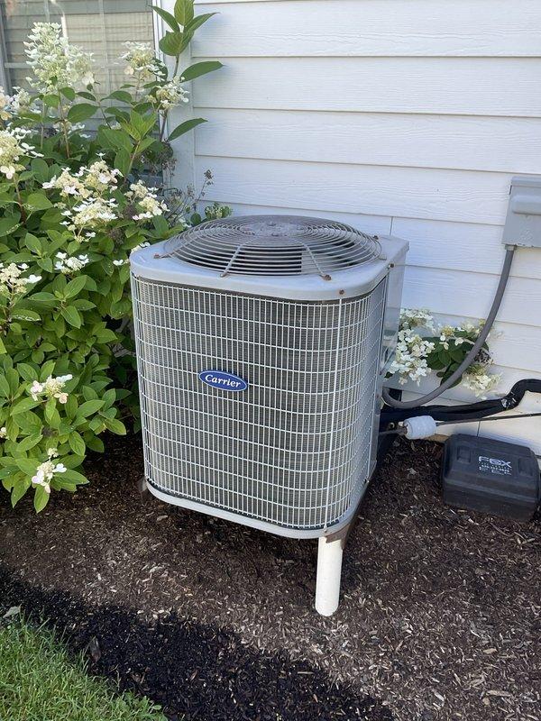 Completed comprehensive BFMA tune-up service on Carrier outdoor condensing unit, including inspection of condenser coils, electrical connections, and refrigerant levels. Addressed primary concern of approximately five gallons of condensation backup in PVC drain line by clearing blockage and verifying proper drainage flow. Additionally performed dryer vent cleaning and maintenance as part of scheduled service protocol.