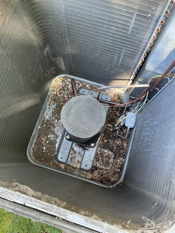Completed comprehensive BFMA tune-up on 16+ year old residential air conditioning system. Performed standard maintenance protocol including inspection of outdoor condensing unit, which showed weathering consistent with age and outdoor exposure. Addressed significant debris accumulation in evaporator coil drain pan, clearing organic matter and buildup to restore proper drainage function and prevent potential water damage or system inefficiency. Verified electrical connections, inspected coil conditions, and ensured unit operational parameters met manufacturer specifications for continued reliable performance.
