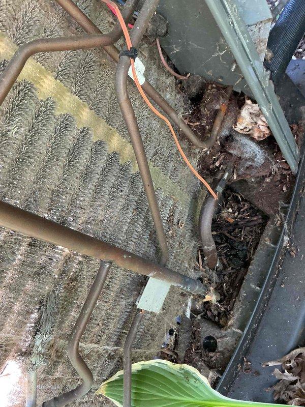Completed comprehensive BFMA tune-up on 5-year-old HVAC system, including full AC service and dryer vent cleaning. Inspected evaporator coils which showed significant dust accumulation and debris buildup including leaves and organic matter in housing; removed debris and cleaned affected areas. Observed cracking on internal component during inspection; documented condition with photos for maintenance records. Established recurring service schedule for semi-annual filter changes and ongoing AC maintenance to prevent future debris accumulation and ensure optimal system performance.