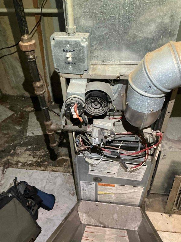 Replaced defective blower motor on Bryant furnace system. Technician retrieved replacement part from supply house, removed furnace access panel, disconnected electrical connections, extracted failed motor assembly, and installed new blower motor with proper wiring connections before testing system operation to confirm successful repair.
