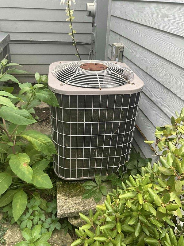 Conducted comprehensive sales estimate for complete air conditioning system replacement including outdoor condenser unit and indoor evaporator coil. Evaluated existing cylindrical condenser unit positioned on concrete pad against exterior wall, noting aged condition with weathered components, dirty mesh grilles, and significant vegetation overgrowth restricting proper airflow clearance. Assessed electrical disconnect, refrigerant line routing, and installation positioning in corner location between house walls. Documented unit accessibility concerns due to encroaching hostas, shrubs, and vines surrounding base and perimeter. Photographed current system configuration, concrete pad condition showing algae growth and moisture staining, and clearance issues for replacement planning. Prepared equipment sizing recommendations and replacement proposal for matched A/C and coil system appropriate for residential application.