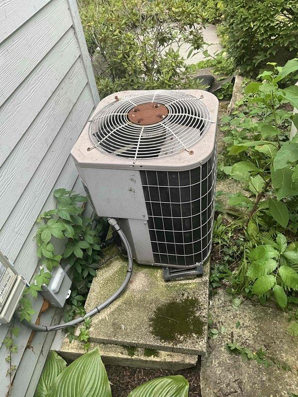Conducted comprehensive sales estimate for complete air conditioning system replacement including outdoor condenser unit and indoor evaporator coil. Evaluated existing cylindrical condenser unit positioned on concrete pad against exterior wall, noting aged condition with weathered components, dirty mesh grilles, and significant vegetation overgrowth restricting proper airflow clearance. Assessed electrical disconnect, refrigerant line routing, and installation positioning in corner location between house walls. Documented unit accessibility concerns due to encroaching hostas, shrubs, and vines surrounding base and perimeter. Photographed current system configuration, concrete pad condition showing algae growth and moisture staining, and clearance issues for replacement planning. Prepared equipment sizing recommendations and replacement proposal for matched A/C and coil system appropriate for residential application.