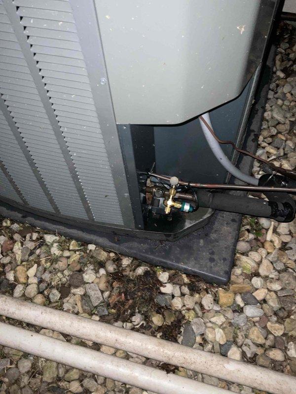 Replaced defective high pressure safety switch on outdoor condensing unit and performed thorough coil cleaning to restore proper system operation. Unit exhibited significant biological growth and debris accumulation on condenser coil fins, which was restricting airflow and contributing to elevated head pressures that triggered the safety switch failure. Chemically cleaned condenser coil to remove algae, mildew, and organic buildup, then rinsed thoroughly to restore heat transfer efficiency and proper refrigerant pressures.