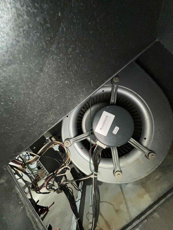Completed comprehensive BFMA tune-up service on residential HVAC system with 3-year-old equipment. Performed preventive maintenance on both indoor air handler and outdoor condensing unit, including inspection of blower motor assembly, squirrel cage fan wheel, electrical connections, and control board within the plenum. Inspected outdoor condenser coils and heat exchanger fins, verified proper operation of all components, and documented system condition through photographic records to ensure optimal performance and efficiency.