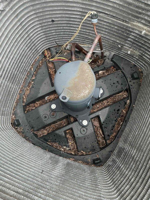 Completed non-member maintenance tune-up on a 5-year-old lower-level air conditioning unit. Performed comprehensive system inspection including examination of compressor, condenser coil, refrigerant lines, and electrical components. Noted organic debris accumulation (leaves and twigs) inside outdoor unit beneath mounting platform. Inspected capacitor and wiring connections, confirming all electrical components operational. Documented condition of pleated air filter showing moderate dirt and dust accumulation between pleats. All major components found intact and system operating within normal parameters.