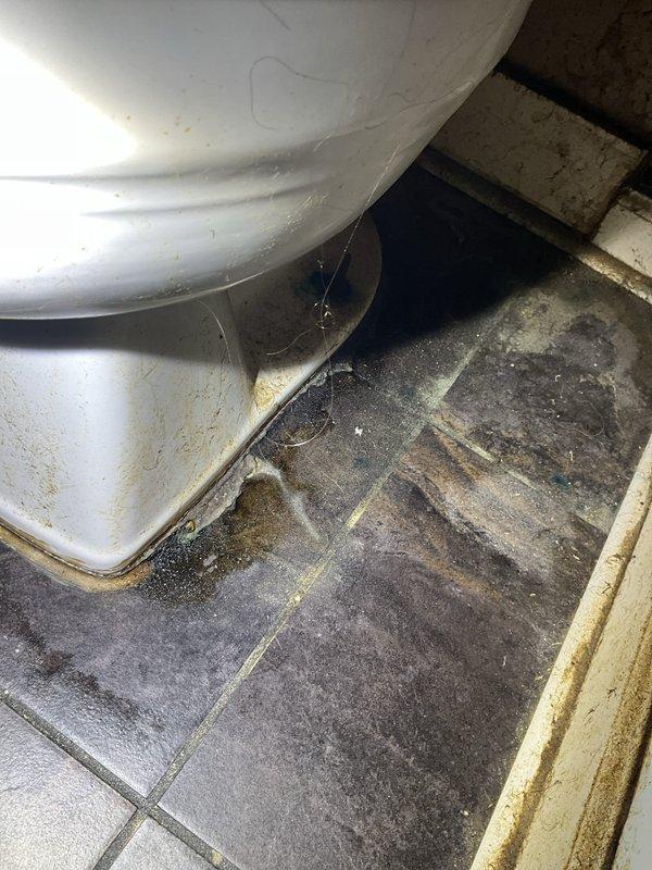 Responded to water leak complaint affecting rec room ceiling with source reported from upstairs bathroom. Upon arrival, conducted thorough inspection of HVAC air handler unit and upstairs bathroom plumbing fixtures. Inspection of air handler revealed significant dust and dirt accumulation throughout interior housing, with brownish discoloration along seams and edges indicating extended operation without maintenance. Examined bathroom facilities and identified potential leak source at toilet base connection. Floor tiles surrounding toilet fixture showed evidence of water damage, including dark staining, discoloration, and moisture accumulation beneath plumbing connections. Documented conditions with photographic evidence for service records. Advised property owner of findings and recommended follow-up maintenance to address HVAC unit cleanliness and toilet seal integrity to prevent further water intrusion.
