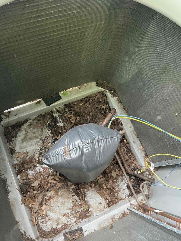 Completed comprehensive BFMA tune-up on 6-year-old air conditioning system, including inspection of condenser coil fins and evaporator unit. Inspected condenser coil which showed good condition with minimal debris accumulation between fins, and documented interior of air handler where organic debris and leaves were present in drain pan requiring attention. Performed standard preventive maintenance checks on all accessible components including refrigerant lines and electrical connections to ensure optimal system performance.