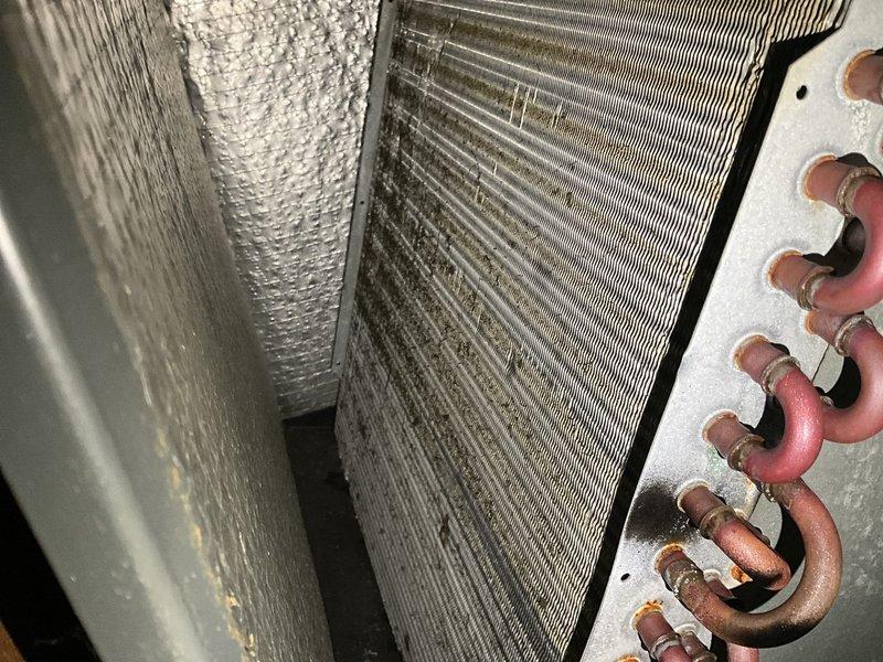 Completed comprehensive BFMA tune-up on an 11-year-old air conditioning system, including full inspection of evaporator coils, refrigerant lines, and electrical control components. Inspected finned coils showing moderate dust accumulation, copper refrigerant lines with normal oxidation patina, flexible ductwork, and insulation in acceptable condition. Evaluated electrical control panel containing relays, contactors, and wiring connections, noting age-appropriate wear and environmental exposure on housing and components, with all systems operational upon completion of maintenance protocol.