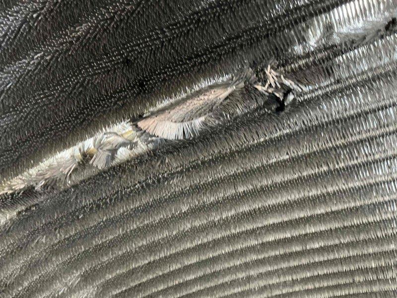 Completed comprehensive BFMA tune-up service on dual air conditioning systems for 4-year-old equipment. Performed standard preventive maintenance protocol including inspection of all major components, ductwork examination, and condenser coil assessment. Documented existing fin damage on condenser unit with exposed insulation material requiring future attention, and noted dust accumulation in duct-mounted blower assembly with visible wiring connections.