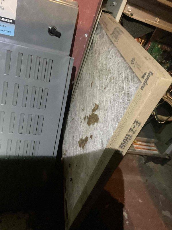 Completed comprehensive AC tune-up on 17-year-old air conditioning system. Inspected and documented heavily soiled return air grille and filter, which showed significant accumulation of dust, lint, and debris restricting airflow. Replaced dirty air filter to restore proper system airflow and efficiency, improving indoor air quality and reducing strain on HVAC components.