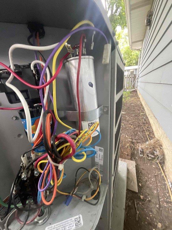 Responded to no cooling call on residential system. Upon arrival, found unit shut off and inspected outdoor condensing unit. Opened access panel and performed visual inspection of internal components including dual-run capacitor, electrical connections, and refrigerant lines. All wiring connections and internal components appeared intact with no visible signs of damage or wear. Documented system condition with photos for service records.