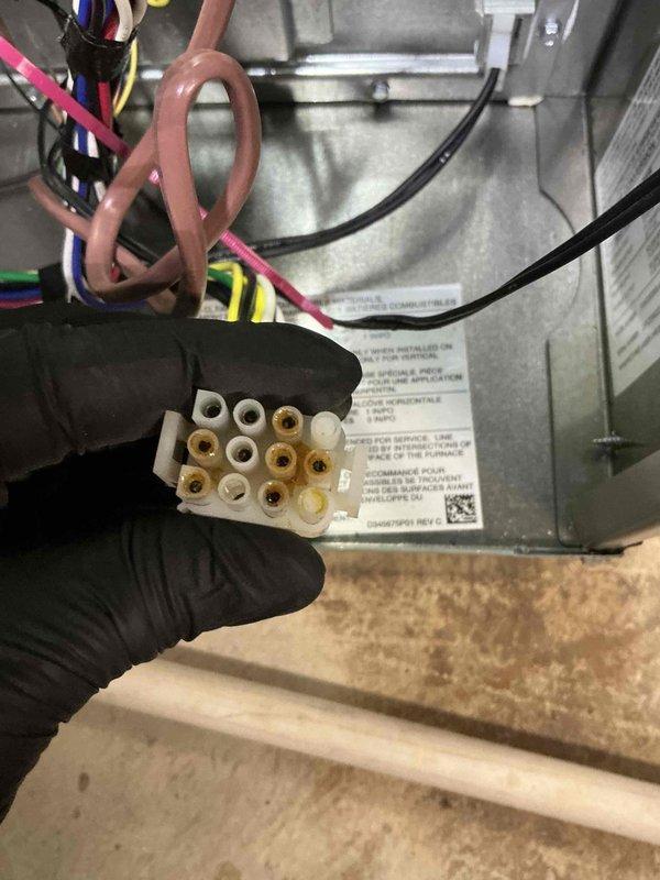 Responded to no cooling call with error codes displayed. Upon inspection, discovered failed blower motor module with damaged electrical connections at the terminal block. Removed defective motor assembly, installed replacement unit, verified all electrical connections were secure, and confirmed system restored to proper cooling operation with no error codes present.