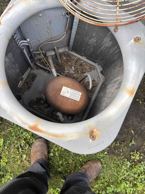 Responded to no cooling call at residential property. Upon inspection, found failed dual-run capacitor exhibiting severe corrosion and deterioration, preventing compressor and condenser fan operation. Removed defective TITAN capacitor and installed new BlueFin replacement with proper microfarad rating. Cleared accumulated debris including leaves and organic material from unit interior. Tested system operation, verified proper compressor startup, confirmed adequate airflow from condenser fan, and restored cooling functionality before client's departure.