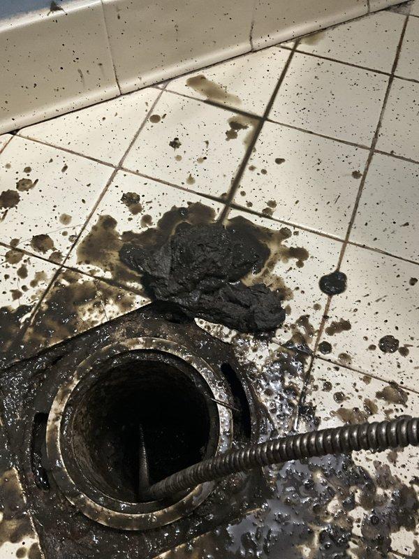 Responded to intermittent water backup affecting both bathrooms with clog located in main drain line under the house. Previous attempts with chemical drain cleaner and hand snaking of individual bathroom drains provided temporary relief but did not resolve the underlying blockage in the shared drainage system.

Accessed crawlspace plumbing beneath the structure to locate and clear the obstruction in the main waste line. Removed toilet in affected bathroom to gain access point for professional drain equipment. Deployed powered drain auger through the toilet flange opening to reach the blockage approximately 15-20 feet downstream in the main drain line. Successfully broke up and cleared accumulated debris causing the restriction in flow.

Extracted significant amount of organic material and buildup from the line. Flushed system thoroughly to verify proper drainage and flow restoration. Reinstalled toilet with new wax ring seal to ensure proper connection. Tested both bathroom fixtures to