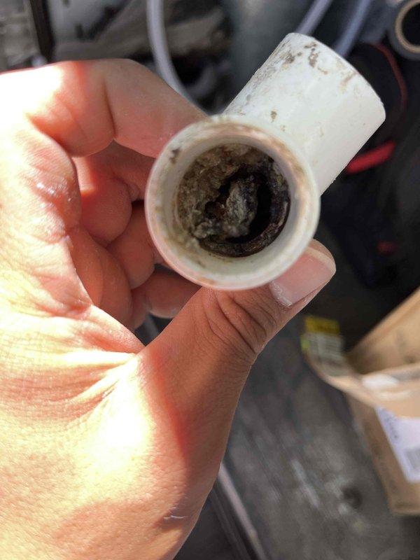 Responded to complaint of water heater cycling on and off with no hot water production in 50-year-old home. Upon inspection, discovered severe sediment and mineral buildup throughout plumbing system supply lines. Removed and examined affected pipe sections, revealing significant internal diameter restriction from accumulated deposits causing inadequate water flow to the recently installed tank water heater unit. The restricted flow was triggering the unit's safety controls, causing continuous cycling and preventing proper heating operation. Documented extensive buildup conditions with photographic evidence showing cross-sections of removed piping with heavy gray-brown mineral scaling and debris accumulation. Identified compromised water delivery system as root cause of heater malfunction rather than equipment failure.