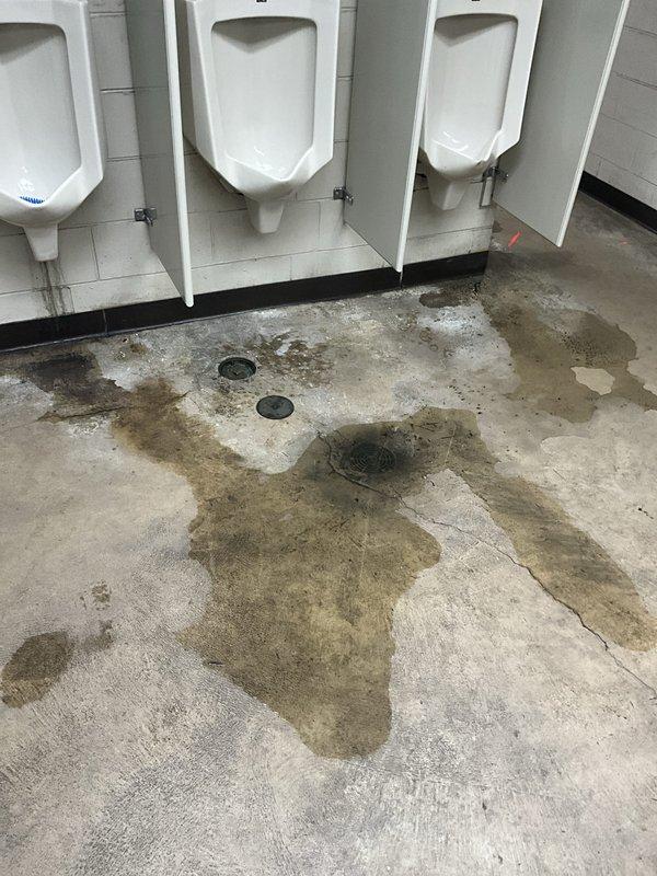 Responded to commercial restroom with recurring drain line backups causing flooding throughout the facility. Upon arrival, found extensive water damage and staining across concrete flooring with multiple floor drains affected. Cleared blockages in main sewer lines servicing urinals and fixtures using professional drain equipment. Tested all drains for proper flow and verified backup issue was resolved. Recommended follow-up inspection of main line to address recurring monthly blockages and prevent future flooding damage.
