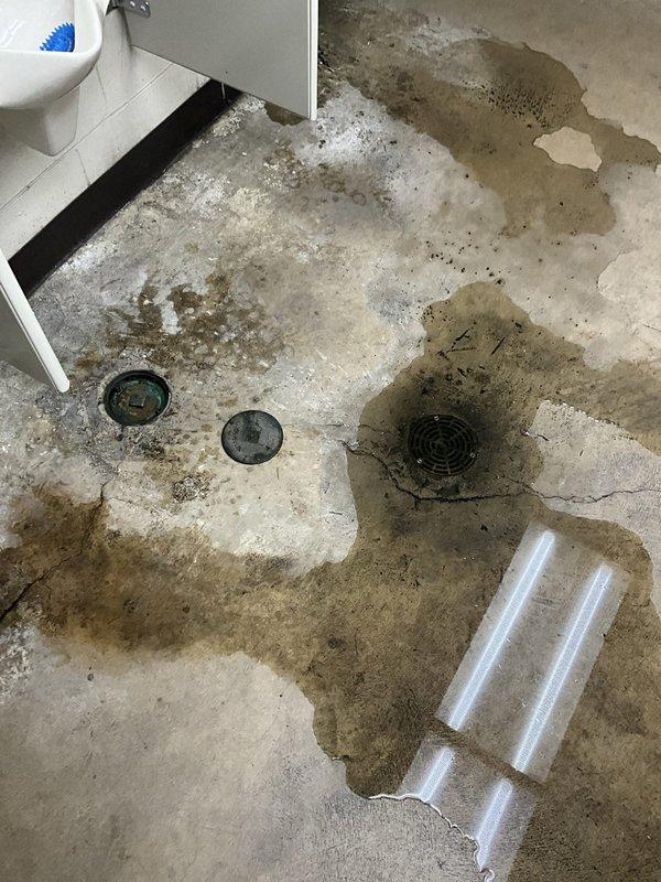 Responded to commercial restroom with recurring drain line backups causing flooding throughout the facility. Upon arrival, found extensive water damage and staining across concrete flooring with multiple floor drains affected. Cleared blockages in main sewer lines servicing urinals and fixtures using professional drain equipment. Tested all drains for proper flow and verified backup issue was resolved. Recommended follow-up inspection of main line to address recurring monthly blockages and prevent future flooding damage.