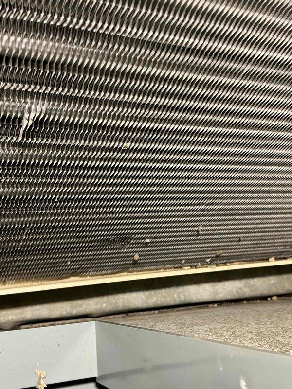 Completed comprehensive BFMA tune-up service on 7-year-old HVAC system, including both air conditioning and furnace components. Performed electrical diagnostics using clamp meter, recording voltage readings of 226V with proper amperage verification. Inspected evaporator coil assembly, noting dust and debris accumulation between aluminum fins that was cleaned to restore optimal airflow and heat transfer efficiency.