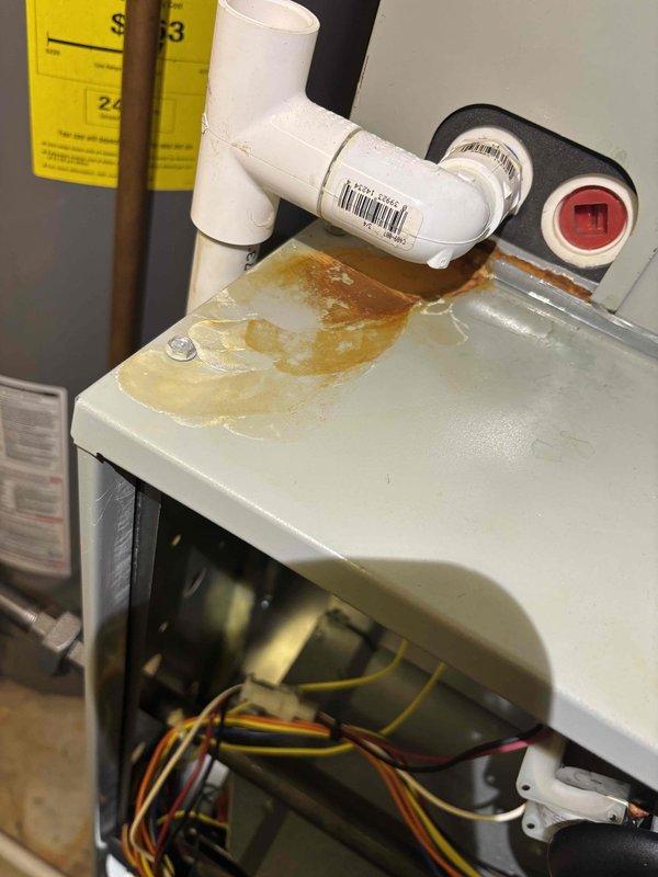Completed comprehensive BFMA tune-up service including furnace maintenance and humidifier inspection. Performed combustion analysis with Testo 317-3 CO detector confirming safe operation with zero carbon monoxide detected at gas manifold. Noted rust-colored staining and water damage on top of furnace casing indicating potential condensation or water intrusion issues that should be monitored. Inspected all electrical connections, wiring harnesses, and internal components with furnace panel opened for full access. Verified proper operation of all mechanical systems, PVC venting configuration, and safety controls. Unit currently operating within normal parameters with humidifier found in no-trouble-found condition.
