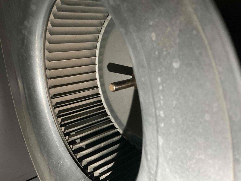 Completed comprehensive BFMA tune-up service on 9+ year old furnace system during afternoon appointment window. Performed full inspection of blower wheel assembly, noting dust accumulation on squirrel cage fan blades and vanes; cleaned and serviced blower compartment to restore optimal airflow efficiency. Inspected furnace unit positioned adjacent to water heater in basement mechanical room, verified all system components, ductwork connections, and operational safety controls functioning properly.