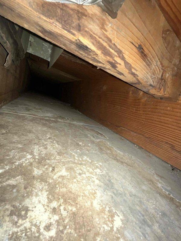 Completed comprehensive duct cleaning service for residential HVAC system. Accessed and cleaned attic crawl space areas, removing accumulated dust and debris from exposed ductwork and structural components. Thoroughly cleaned interior plenum chamber and inspected all accessible HVAC components, conduit runs, and connection points to ensure proper system airflow and optimal equipment performance.