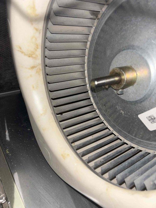 Completed comprehensive BFMA tune-up on 8-year-old furnace system during scheduled morning appointment. Performed full inspection of blower assembly, burner components, gas valve, and electrical controls; noted dust accumulation on blower wheel and housing with some staining present but within normal operational parameters. Cleaned and serviced all accessible components, verified proper operation of all safety controls including pressure switches and flame sensors, confirmed secure wiring connections throughout control board assembly, and tested system for proper ignition sequence and heating cycle performance.
