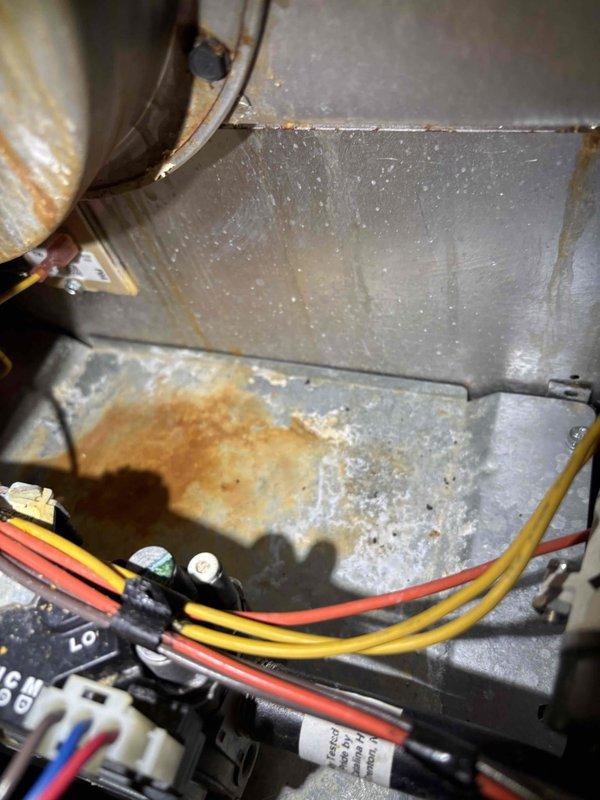 Completed comprehensive BFMA furnace tune-up on 10-year-old heating system. Performed full system inspection, tested electrical components and controls with multimeter confirming proper voltage readings, and noted rust staining present in cabinet base indicating previous moisture exposure. All operational parameters verified within manufacturer specifications and unit operating safely at time of departure.