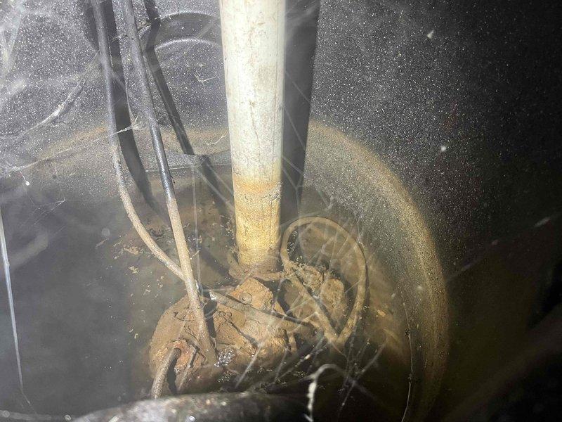 Completed comprehensive BFPMA Tune Up including full plumbing system evaluation, water heater tank flush to address brown water discoloration issue, and sump pump inspection revealing significant sediment accumulation and debris buildup in pump basin requiring cleaning for optimal operation.