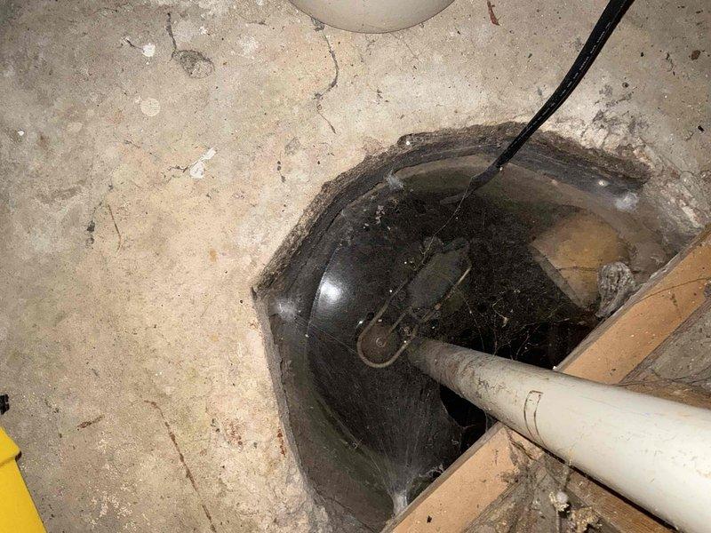 Performed a seasonal heating maintenance tune-up on a 12-year-old Bryant gas furnace, inspecting the unit, venting, gas piping, and condensate drain components for proper operation. No trouble found; the system was operating normally with no repairs required.
