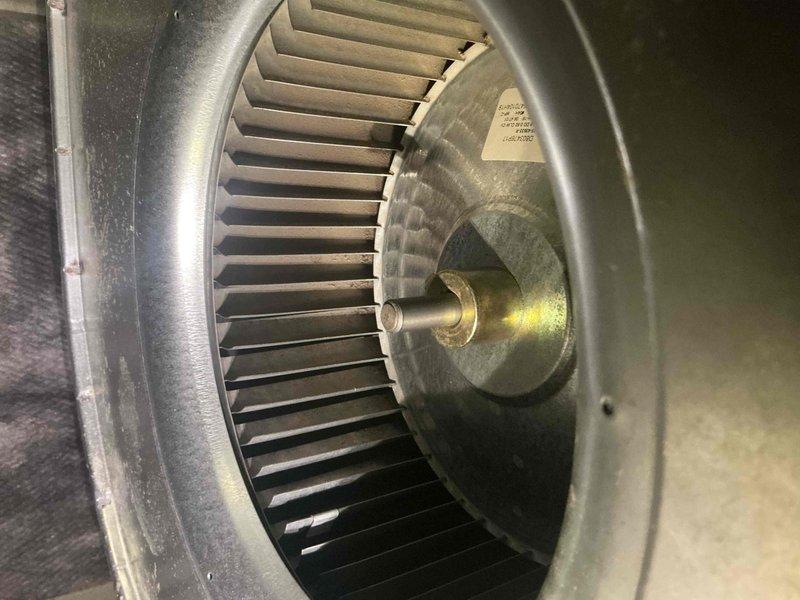 Performed a complete furnace tune-up on a 7-year-old unit, including inspection of the control compartment, gas valve, and wiring connections, and verified blower motor amperage draw with a calibrated clamp meter (15.6 amps measured). Inspected the squirrel-cage blower wheel and housing, which showed dust and grime accumulation. Unit operation was checked as part of the recurring maintenance service.