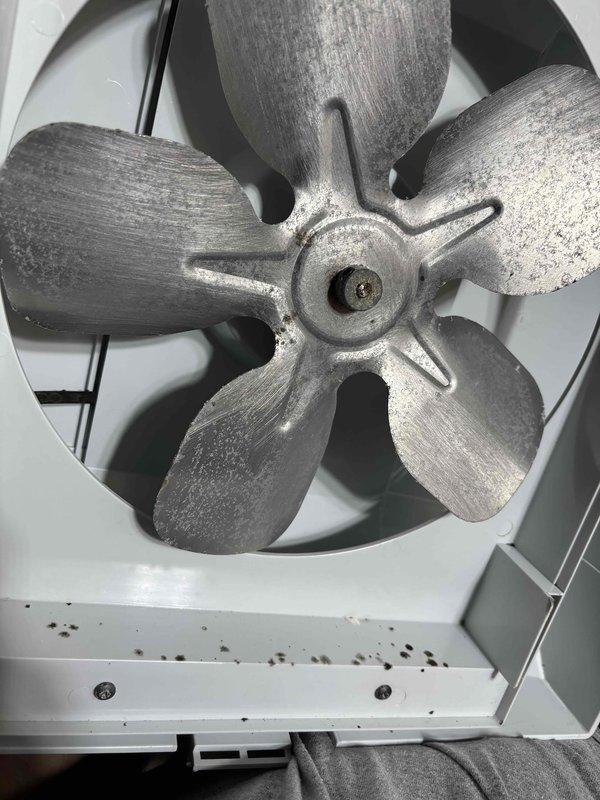 Performed a complete furnace tune-up, including inspection of the blower and fan assembly and the humidifier. Noted dust buildup, oxidation, and light rust on the fan blades and hub, along with debris on the housing ledge, and cleaned the components to restore proper airflow and operation. Verified the system was running safely and efficiently at completion.