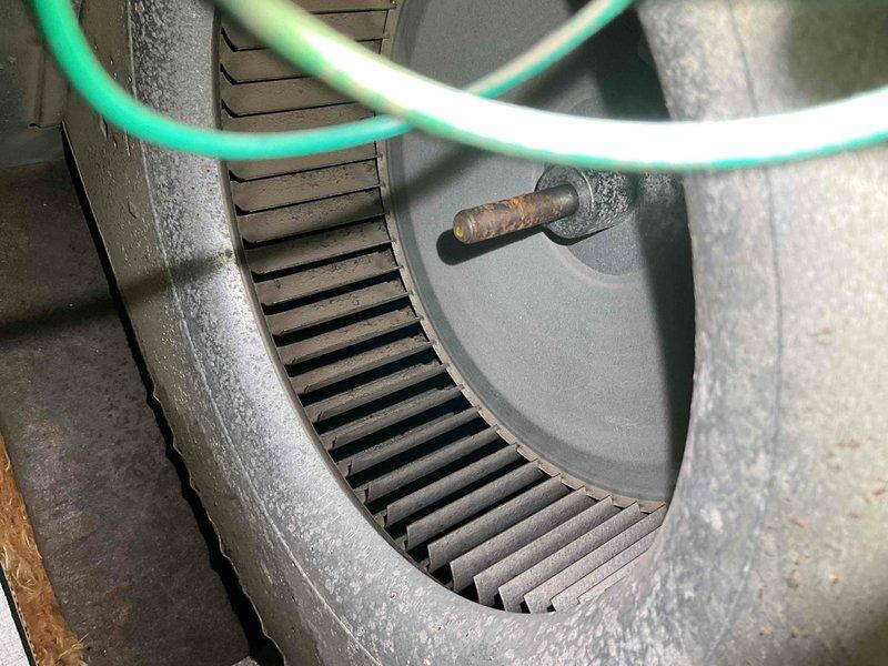Responded to a no-heat call and inspected the furnace blower assembly, finding heavy dust and debris buildup on the squirrel-cage blower wheel and housing, along with corrosion on the motor shaft. Cleaned the blower assembly and verified the motor, wiring harness, and associated electrical components were intact and free of damage. Restored the system to proper operation.