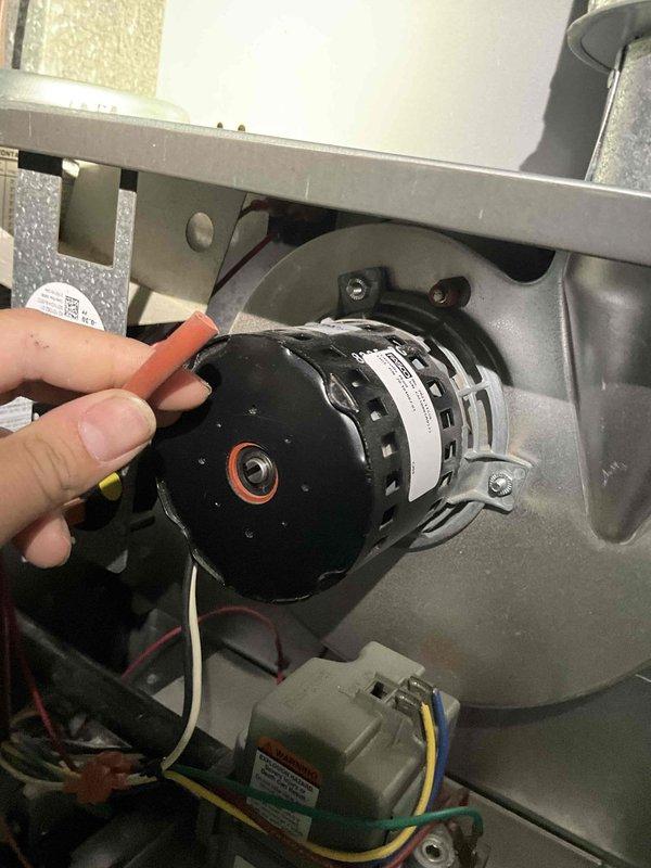 Responded to a no-heat call and inspected the furnace blower assembly, finding heavy dust and debris buildup on the squirrel-cage blower wheel and housing, along with corrosion on the motor shaft. Cleaned the blower assembly and verified the motor, wiring harness, and associated electrical components were intact and free of damage. Restored the system to proper operation.