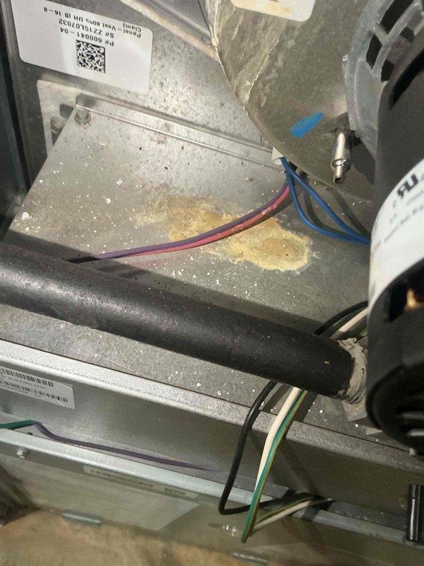 Performed a complete furnace tune-up, including inspection of the blower motor, wiring, and cabinet interior, and installed the client-supplied filter. Inspected the humidifier supply line, valve, and flexible hose connection. Noted residue staining on the cabinet floor panel and surface discoloration near the humidifier supply, which may indicate mineral buildup or a minor moisture source; recommend monitoring for leaks.