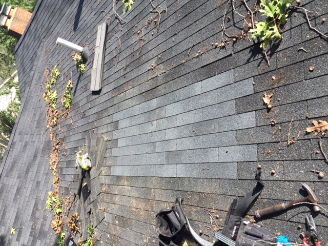 Fairfax, VA - After a tree damaged this roof, we replaced the plywood, installed ice and water shield and replaced the shingles. We also removed and replaced a section of gutter on the right side of the house and installed leaf guards. Fairfax, VA - After a tree damaged this roof, we replaced the plywood, installed ice and water shield and replaced the shingles. We also removed and replaced a section of gutter on the right side of the house and installed leaf guards.