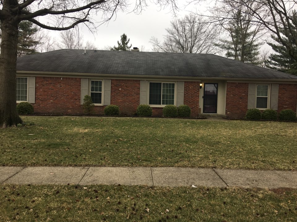 Indianapolis, IN - Tree limb hit roof Indianapolis, IN - Tree limb hit roof