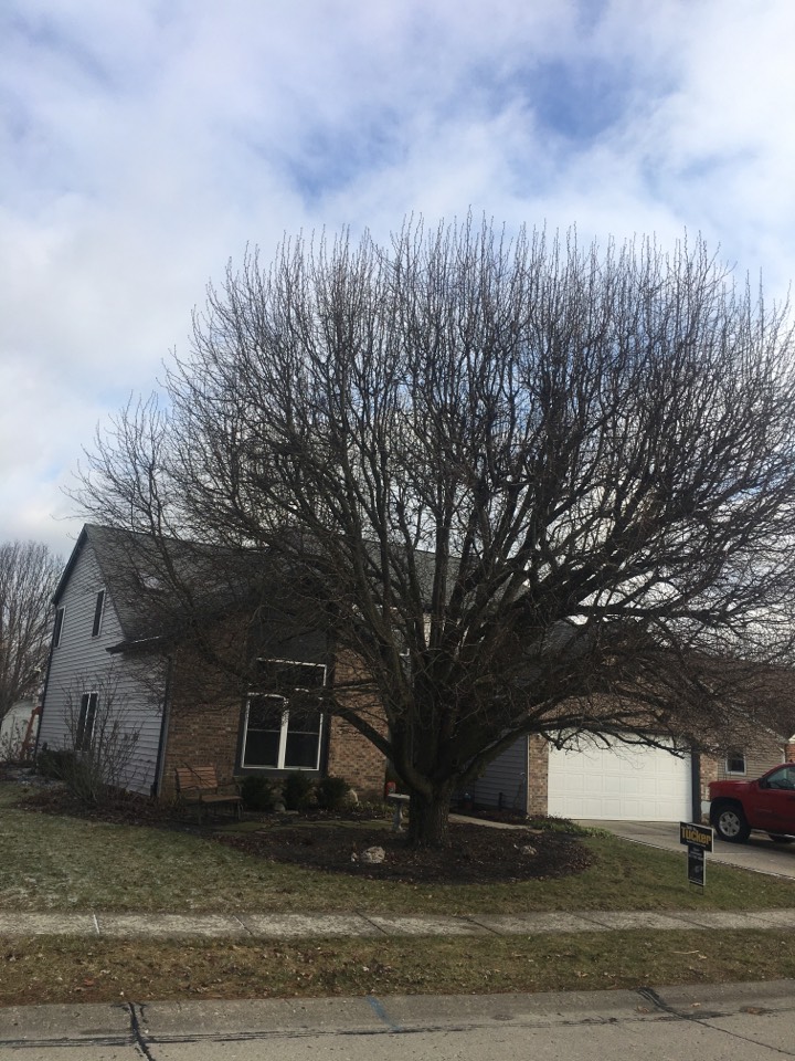 Indianapolis, IN - Roof inspection Indianapolis, IN - Roof inspection