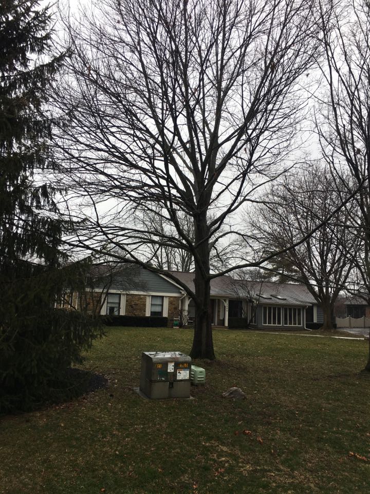 Indianapolis, IN - Roof inspection Indianapolis, IN - Roof inspection