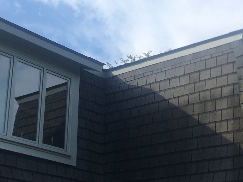 Indianapolis, IN Roof inspection