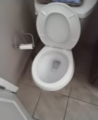 Service toilet