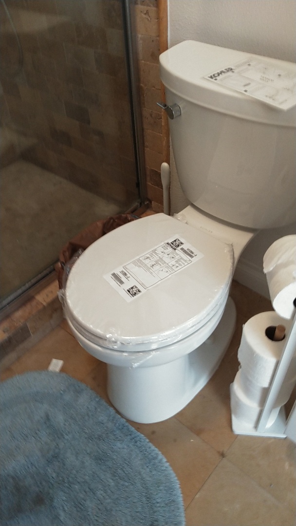 Toilet stoppage