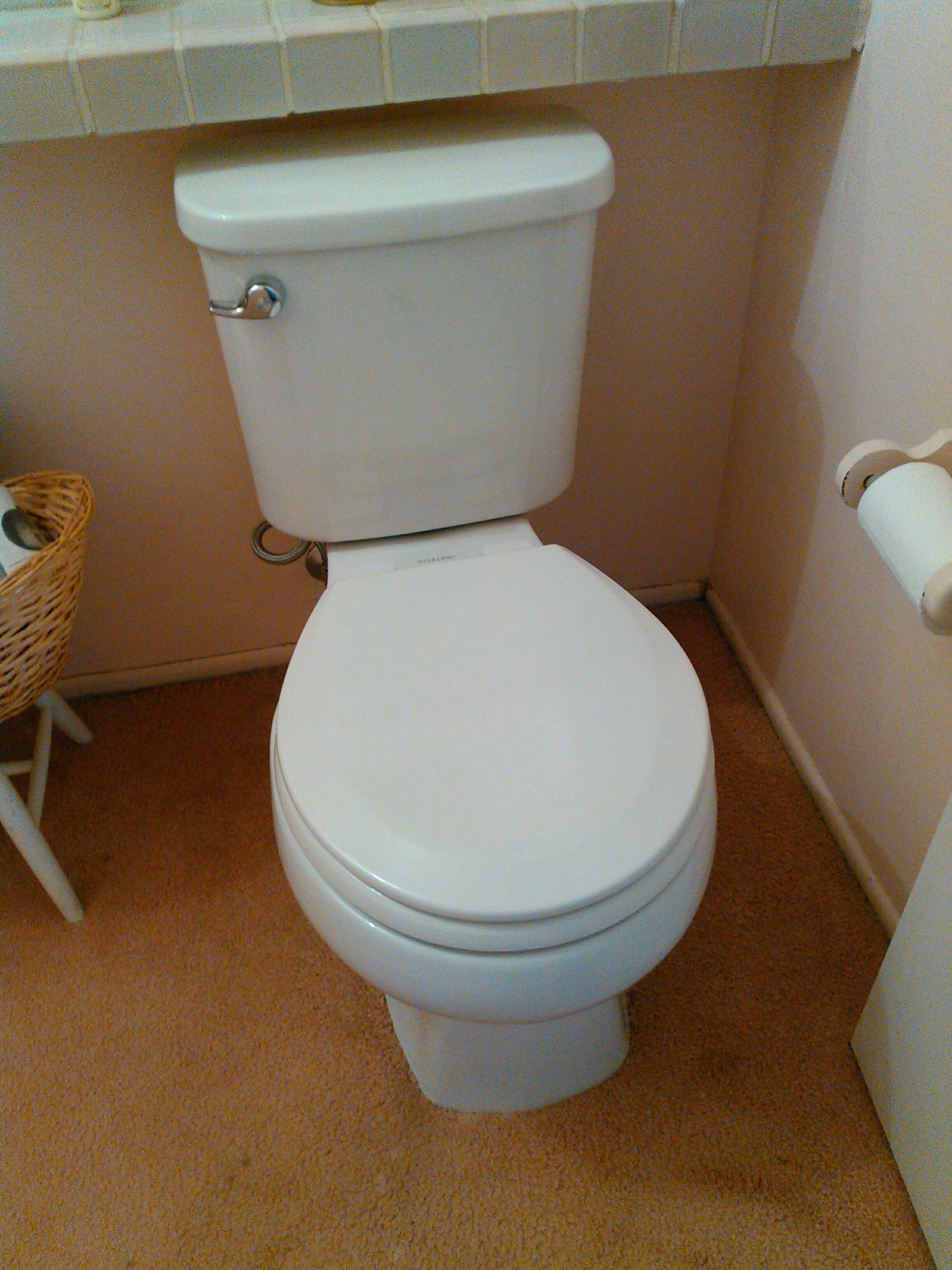 Thousand Oaks Plumbing Services Mike Diamond Services