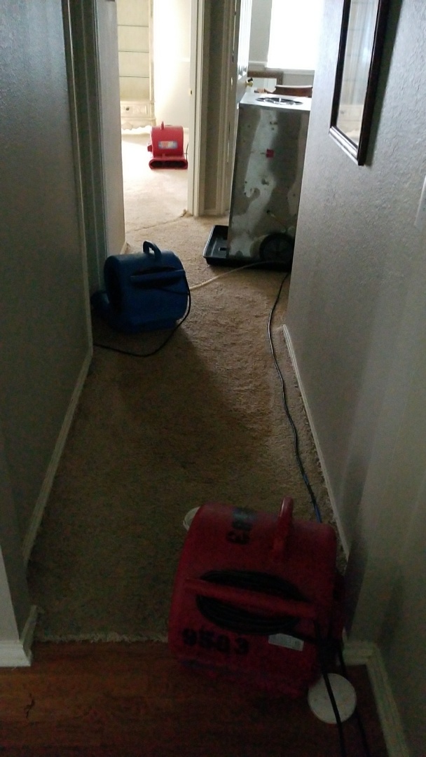 McKinney, TX - Received called to give estimate had a no a/c call on a Payne 5 ton unit. Customer was getting a second quote. Came out on Sunday to diagnose and give multiple options on replacing/getting the had unit running. Took every measure possible to be sure of verdict. McKinney, TX - Received called to give estimate had a no a/c call on a Payne 5 ton unit. Customer was getting a second quote. Came out on Sunday to diagnose and give multiple options on replacing/getting the had unit running. Took every measure possible to be sure of verdict.