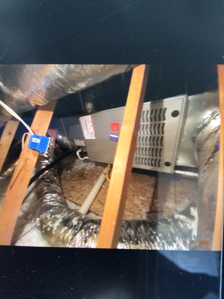 Bryant furnace tune up